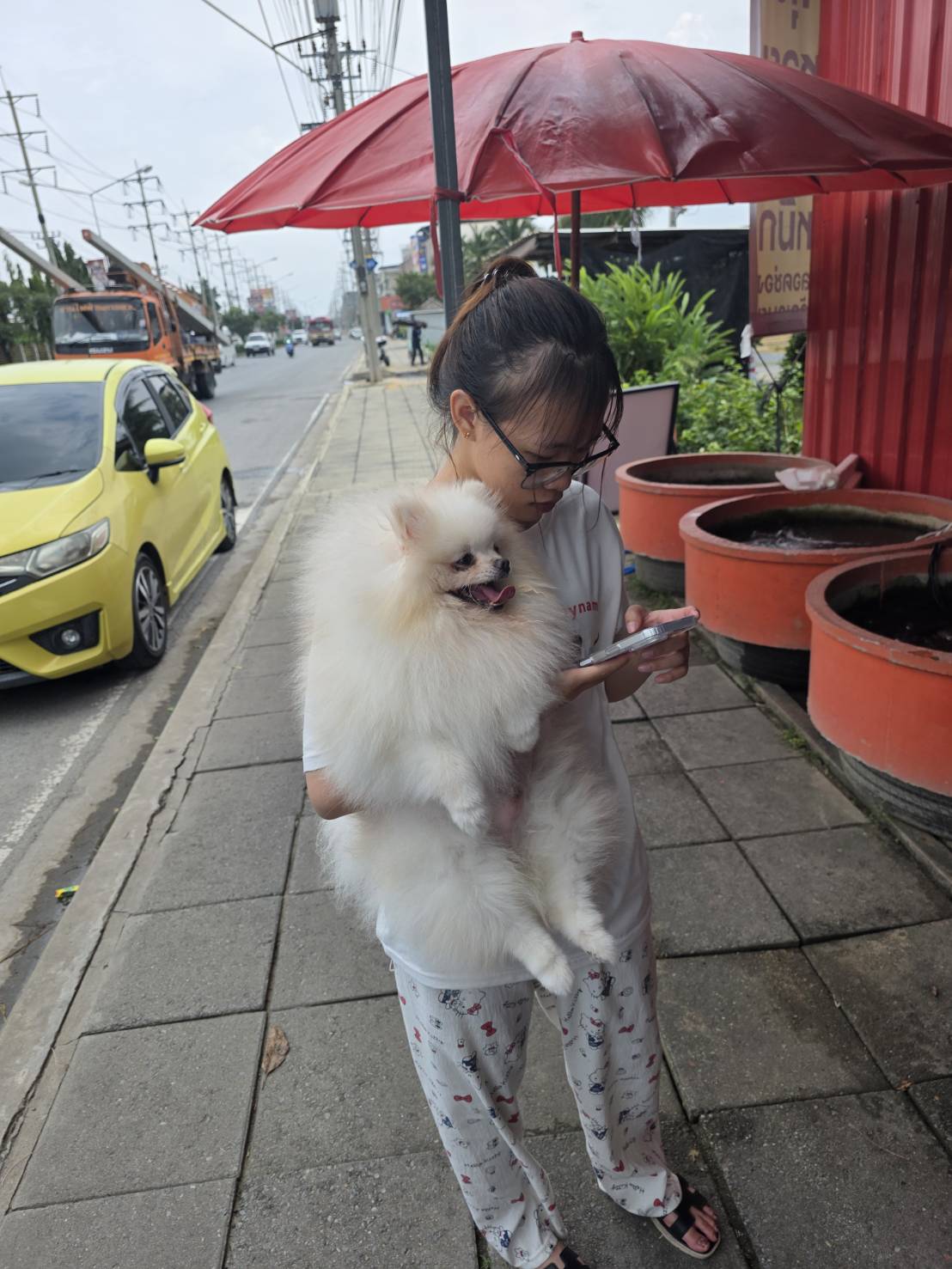 แม่มลพาน้องเดินเล่น รูปที่ 3