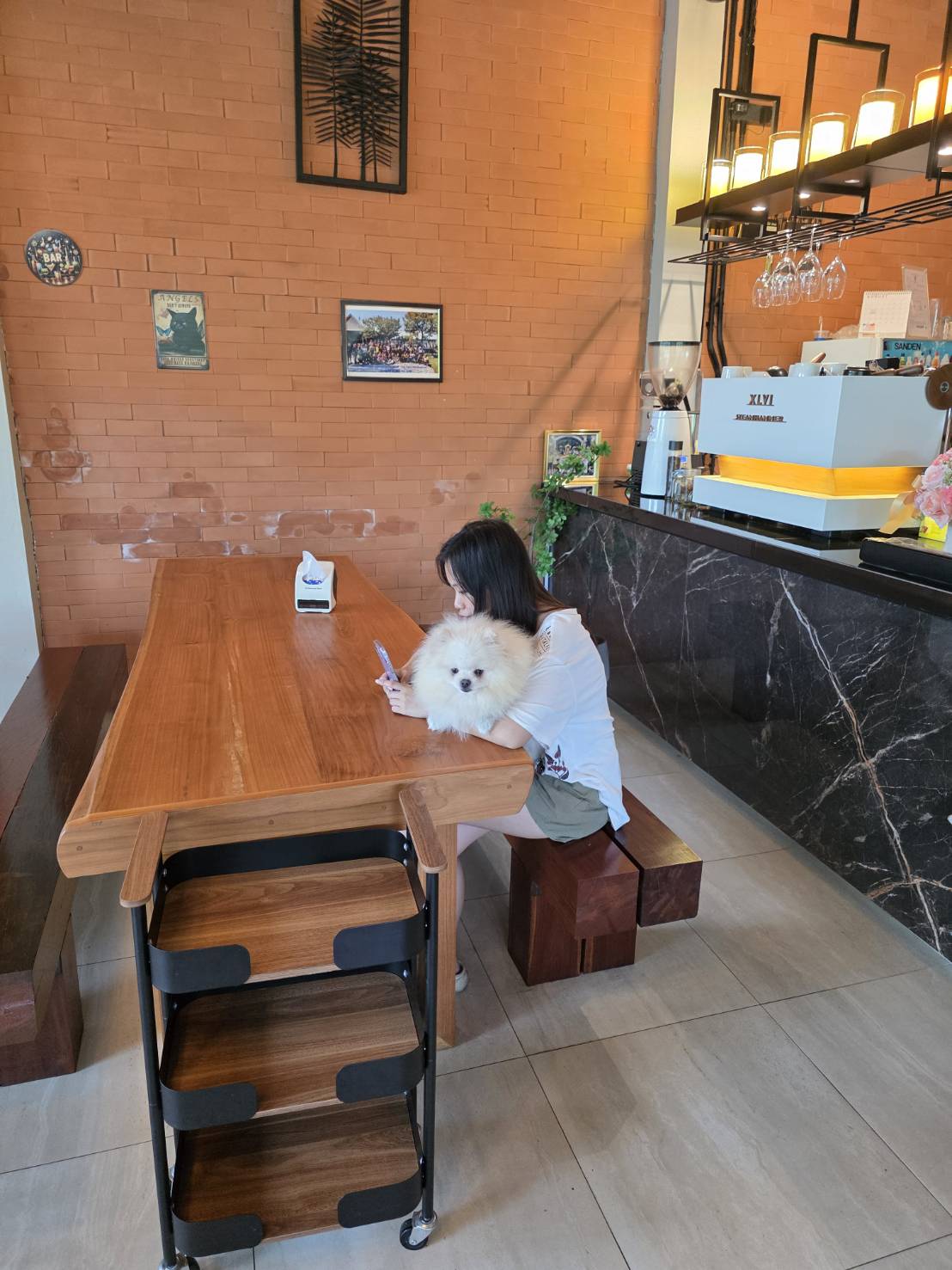สมชายรับส่ง Pet Taxi รูปที่ 15