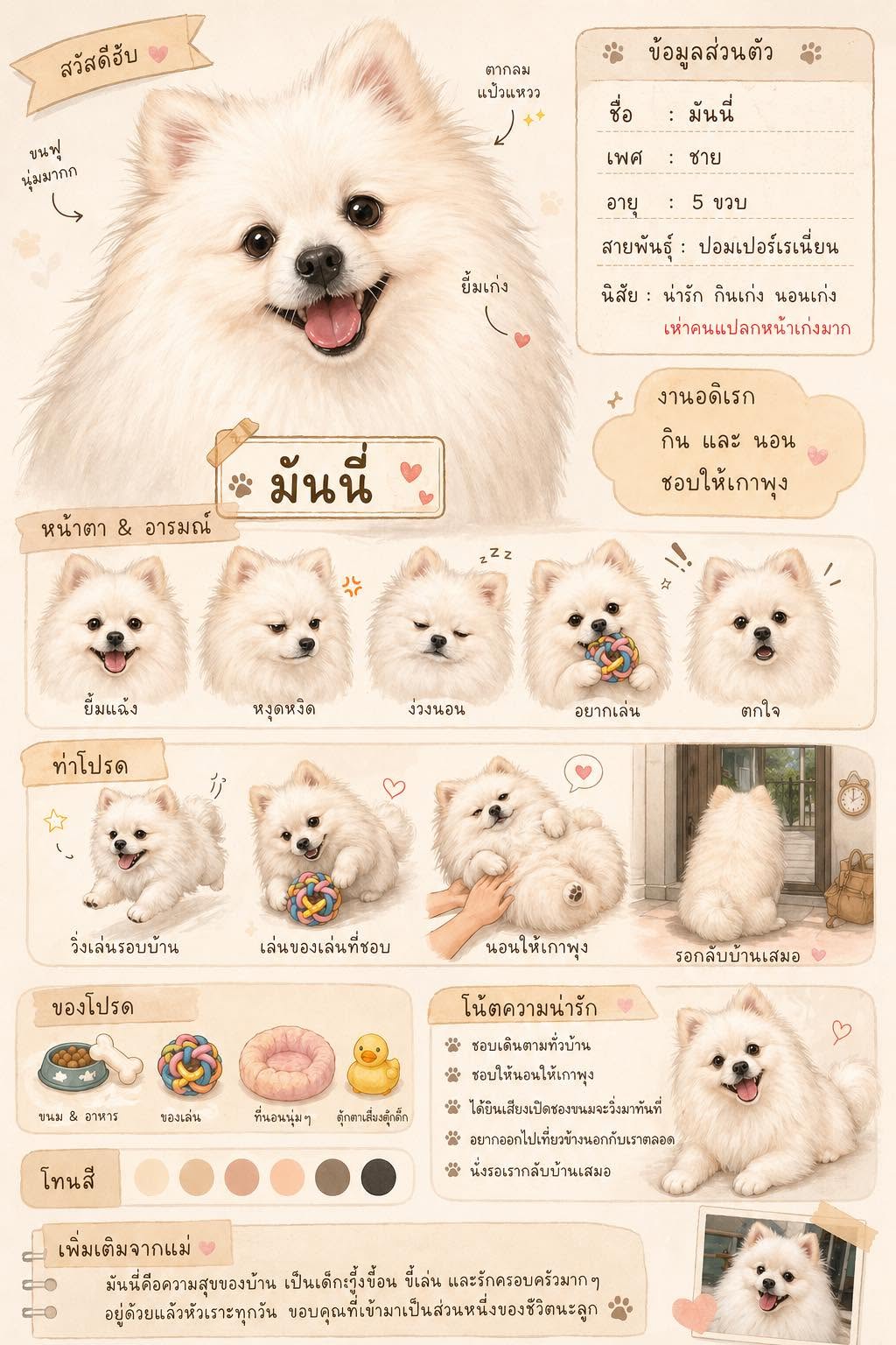 สมชายรับฝากหมาแมว