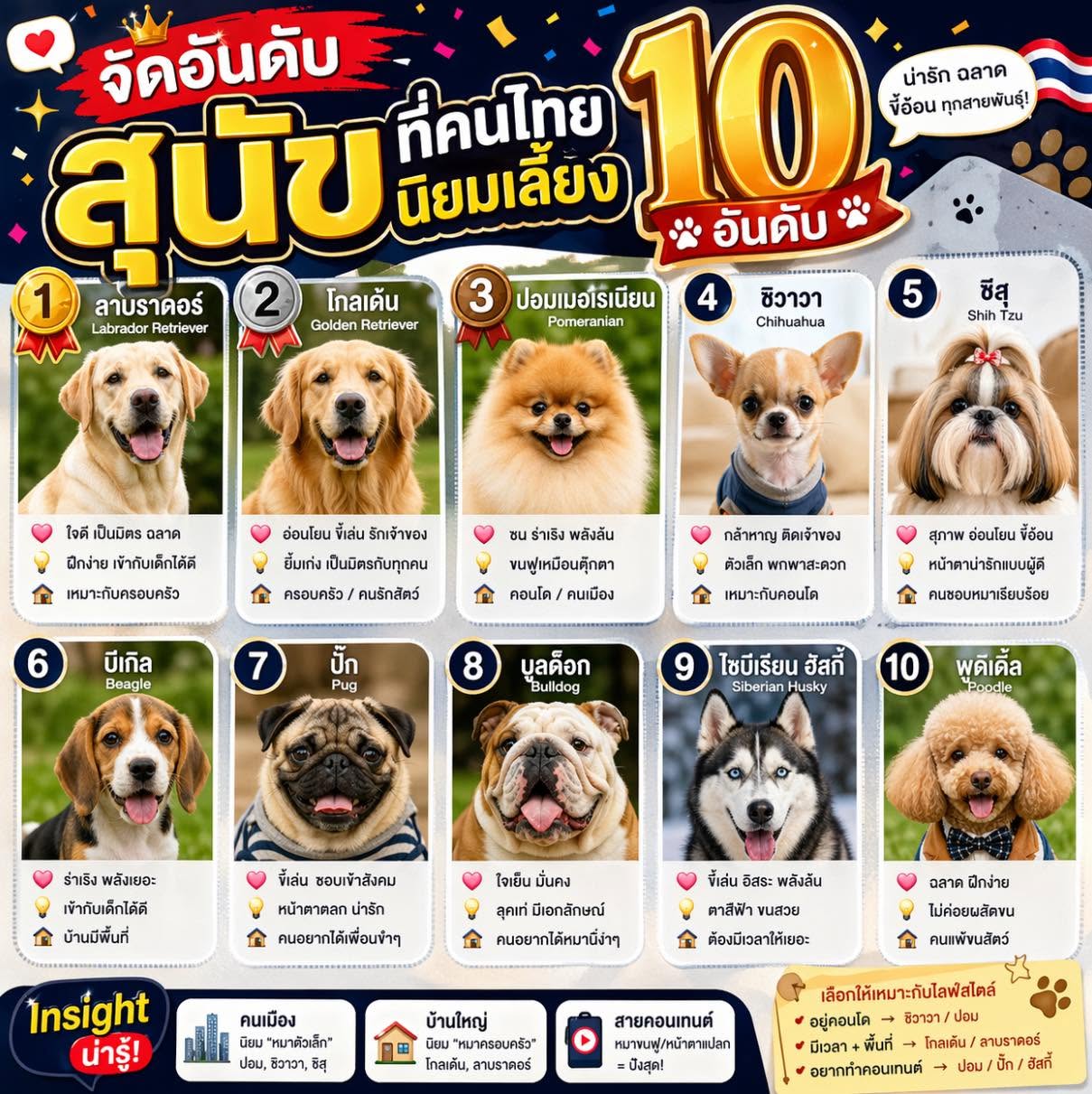 สมชายรับฝากหมาแมว รูปที่ 3