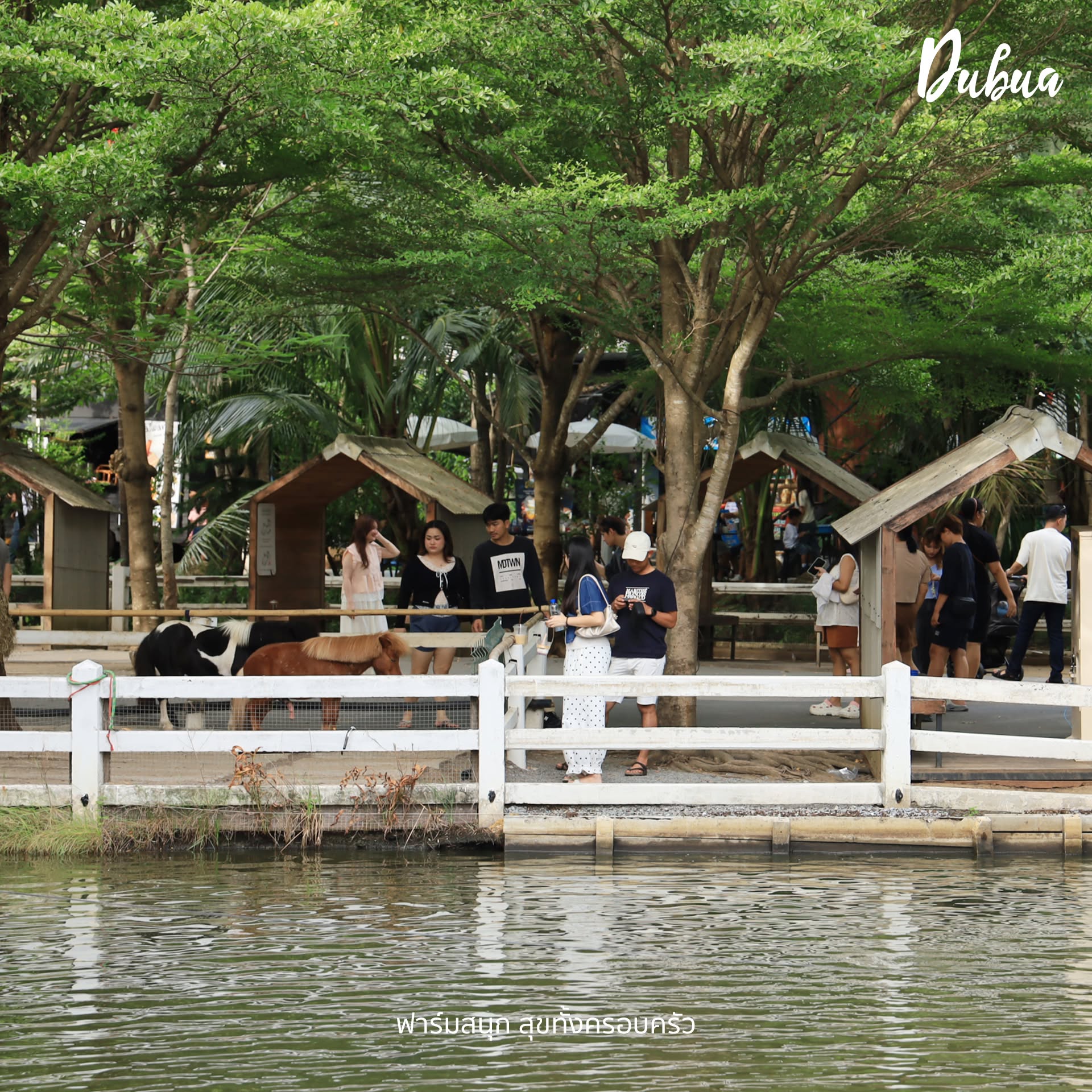 DUBUA CAFE รูปที่ 2