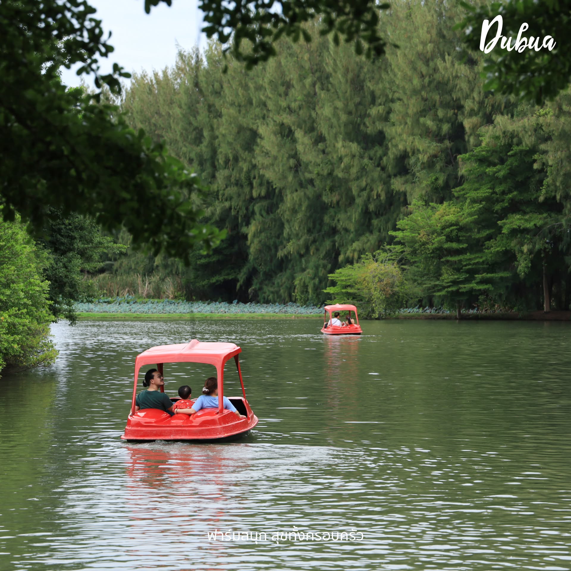 DUBUA CAFE รูปที่ 4