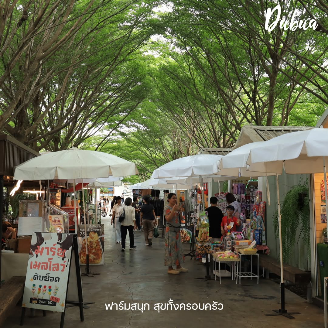 DUBUA CAFE รูปที่ 6