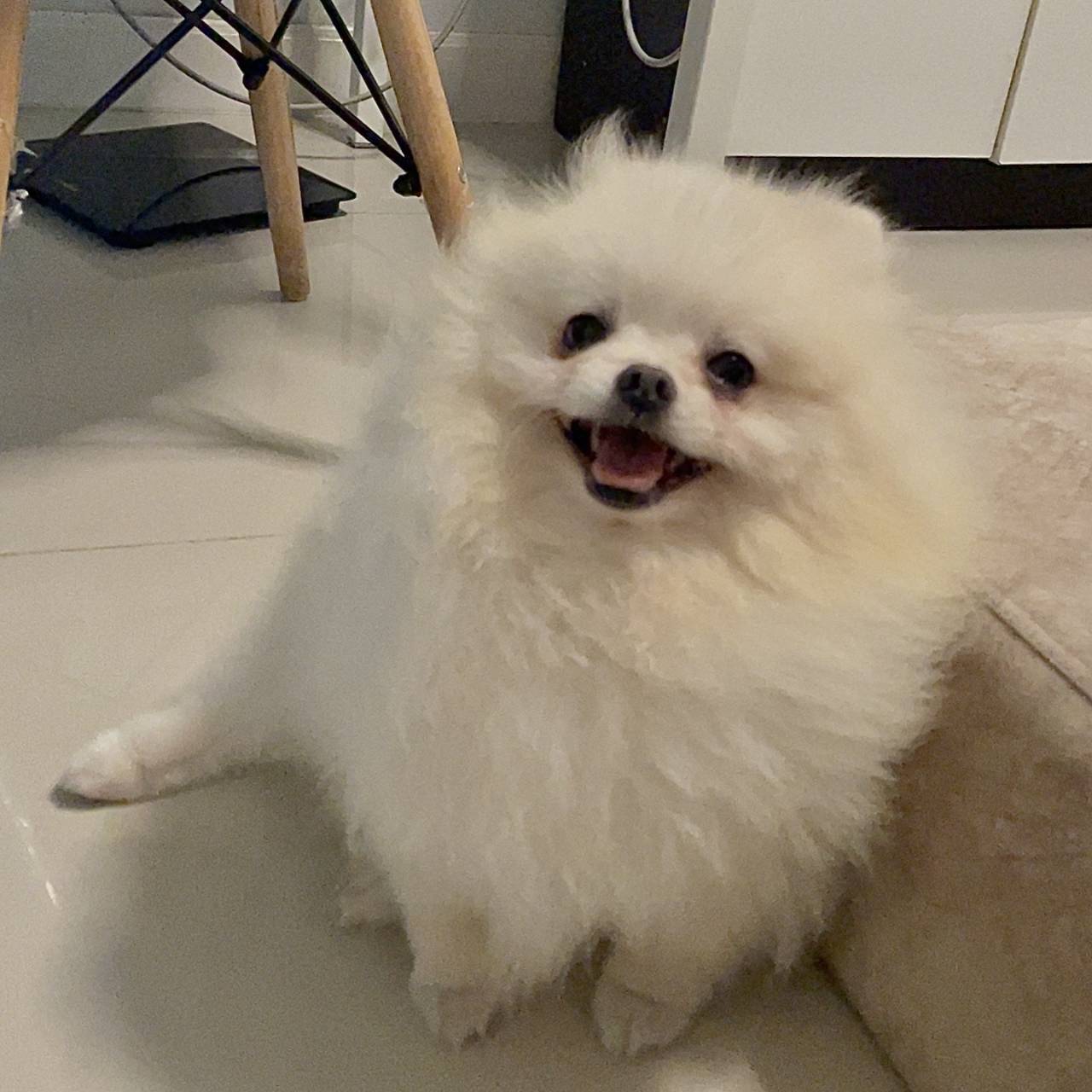 อ้วงๆ